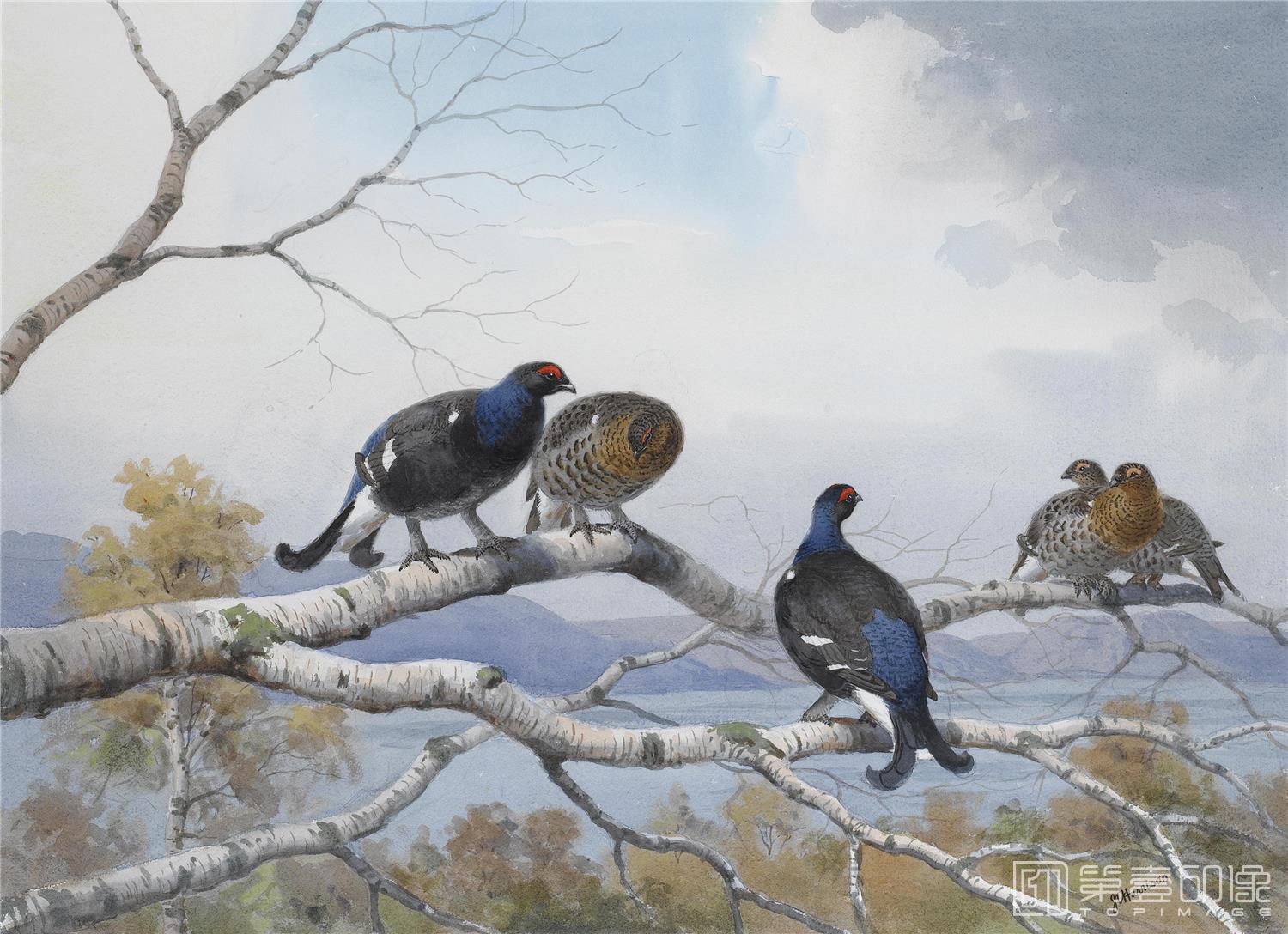 油画-约翰.赛里尔·哈里森 John Harrison作品集-041